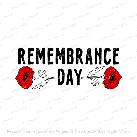 Remembrance Day POPPY03