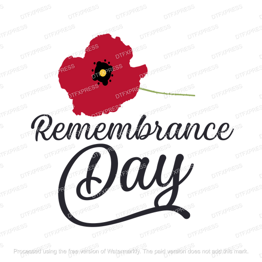 Remembrance Day POPPY04